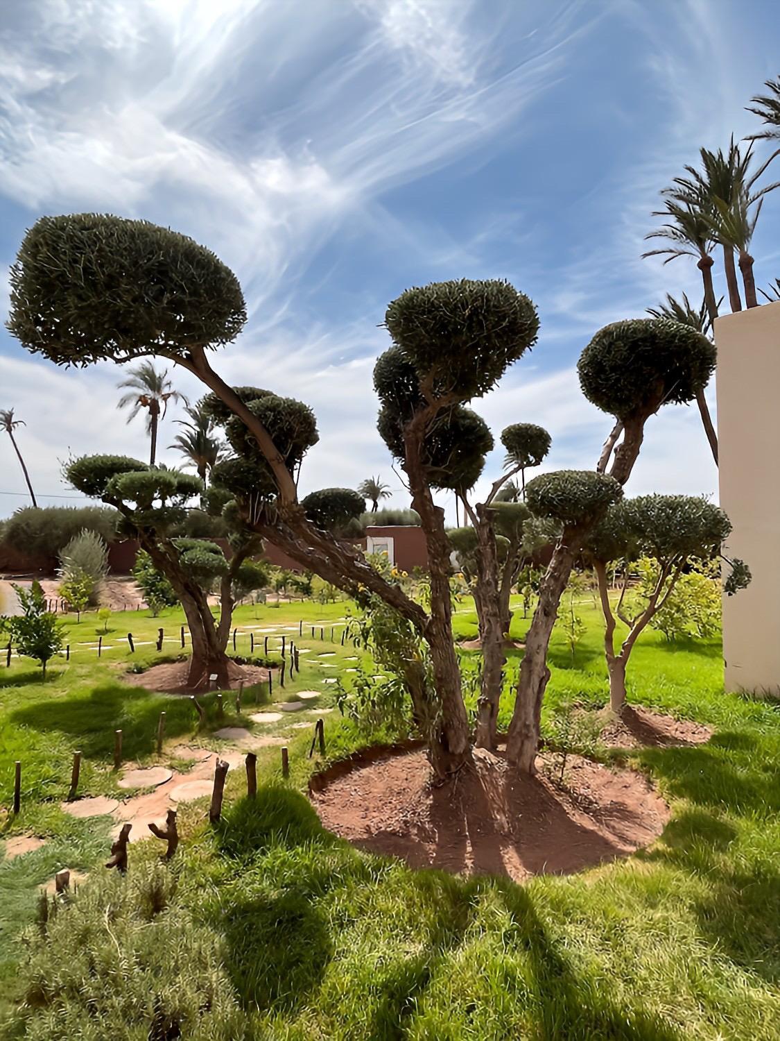Palais Kaal Villa Marrakesh